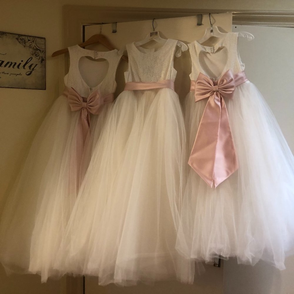 Flower Girl or Special Occasion Dress